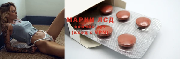 стаф Абинск