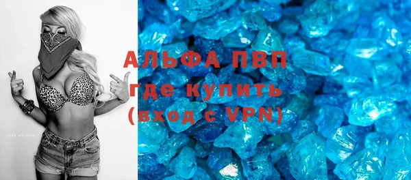 стаф Абинск
