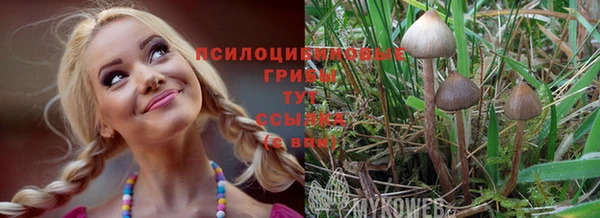 меф Алексин
