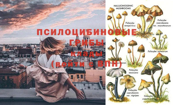 скорость Абаза