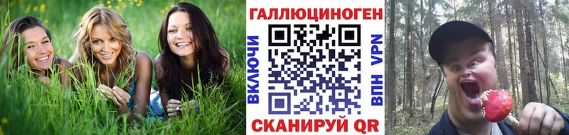 ссылка на мегу как зайти  Киренск  Галлюциногенные грибы Cubensis 